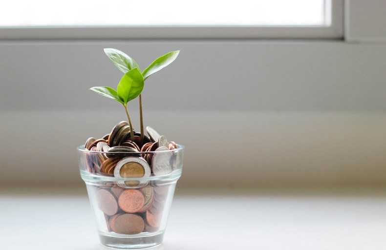 A cup full of coins and there is small tree in it