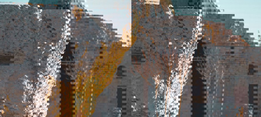 The History of Waqf in Islam: From the Time of the Prophet (pbuh) to Today